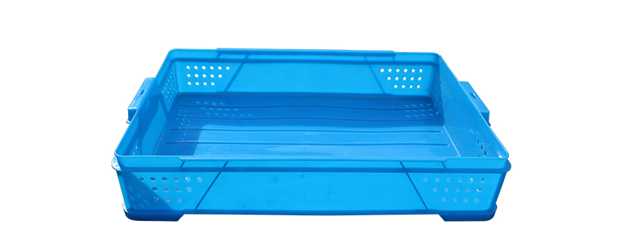 8091748591073455.jpg 1_02.jpg