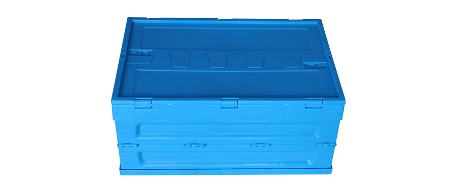 9591748310990185.jpg 1_02.jpg