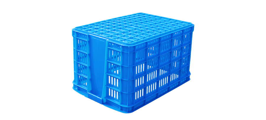 9891748502577341.jpg 1_03.jpg